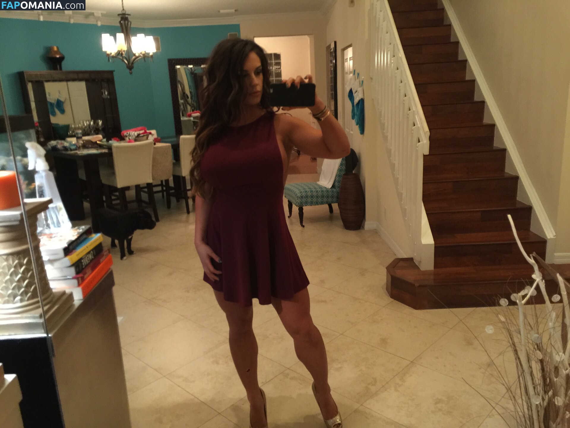 Kaitlyn WWE Nudo Foto trapelata #35