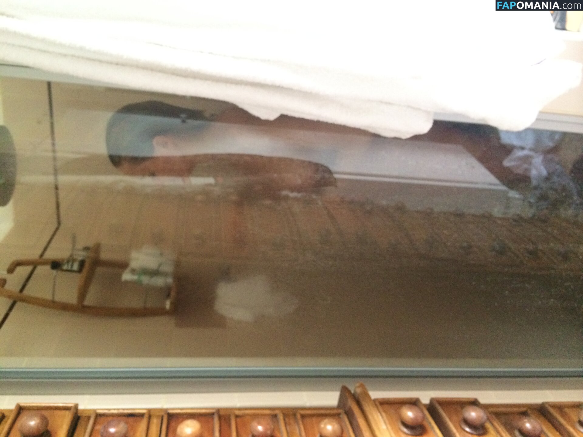 Lara Bingle Nudo Foto trapelata #245