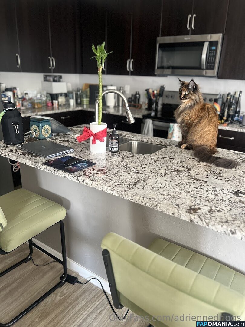 adrienne.driggs / adriennedriggs Nudo OnlyFans  Foto trapelata #9