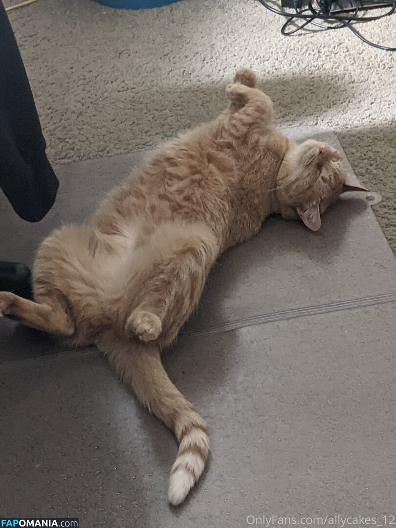 allycakes_12 Nudo OnlyFans  Foto trapelata #3
