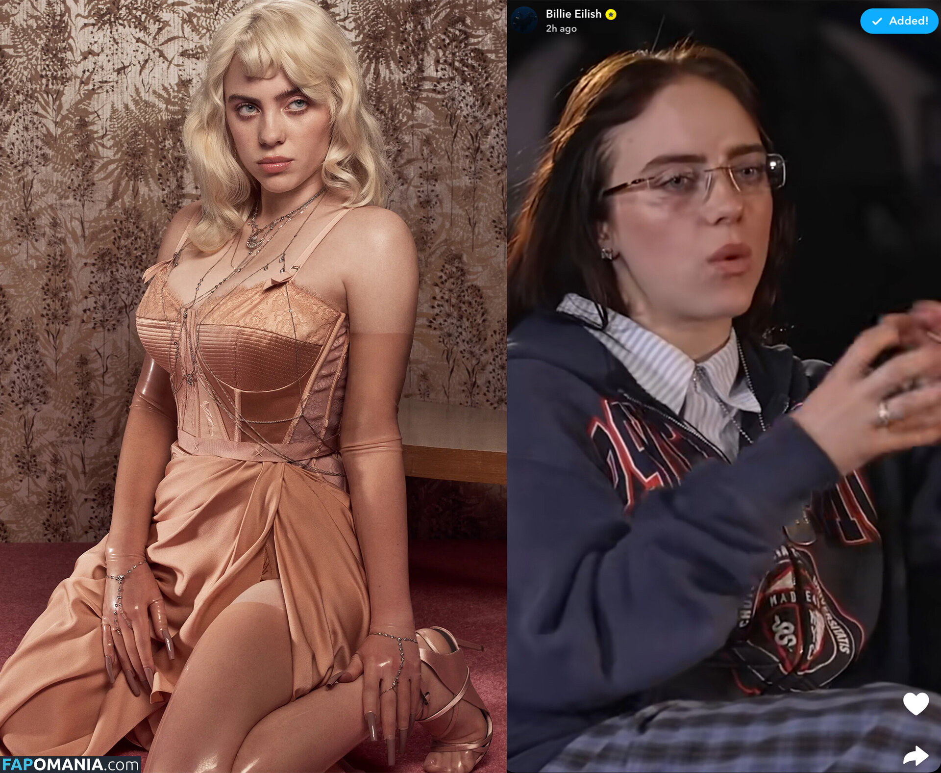 Billie Eilish / Fake / billeeilish / billieeilish Nudo OnlyFans  Foto trapelata #2221