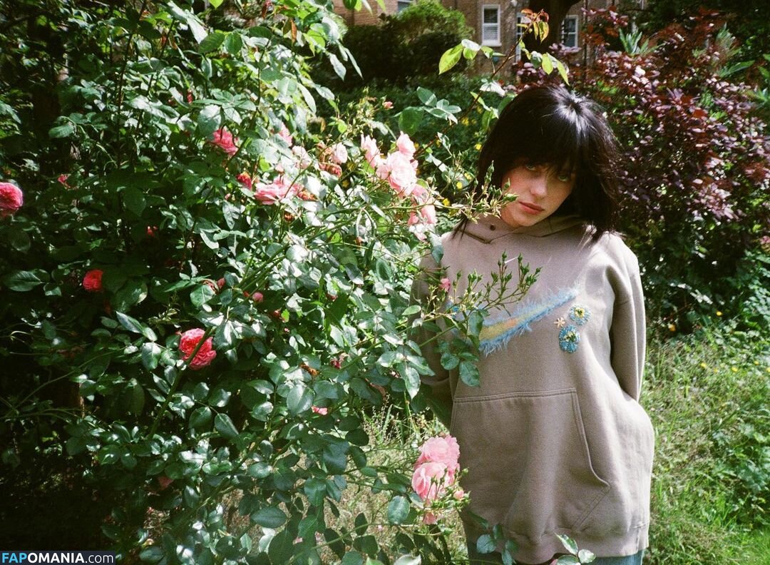 Billie Eilish / Fake / billeeilish / billieeilish Nudo OnlyFans  Foto trapelata #2228