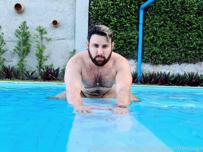 brazildaddybearfreepage