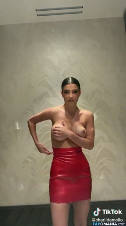 Charli D'Amelio / Charli Damelio / charlidamelio / charliesdamelio Nudo OnlyFans  Foto trapelata #72