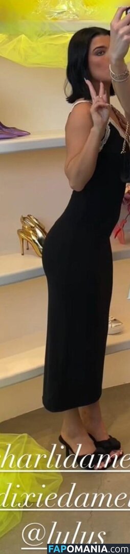 Charli D'Amelio / Charli Damelio / charlidamelio / charliesdamelio Nudo OnlyFans  Foto trapelata #1287