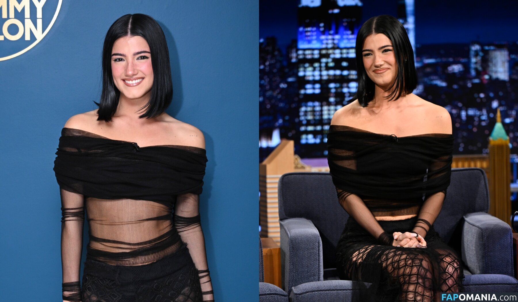 Charli D'Amelio / Charli Damelio / charlidamelio / charliesdamelio Nudo OnlyFans  Foto trapelata #1560