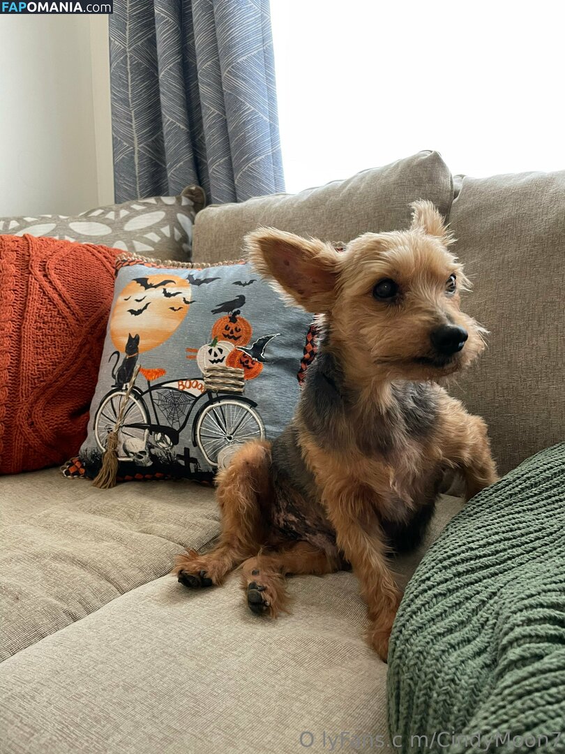 cindymoon007 / cindymoon7 Nudo OnlyFans  Foto trapelata #280