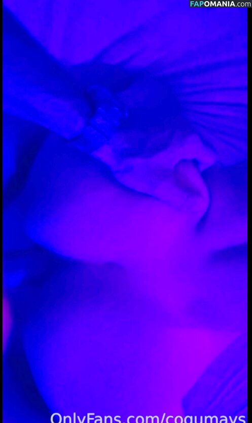 Cogumays / Mayara Vér Meyer Nudo OnlyFans  Foto trapelata #465