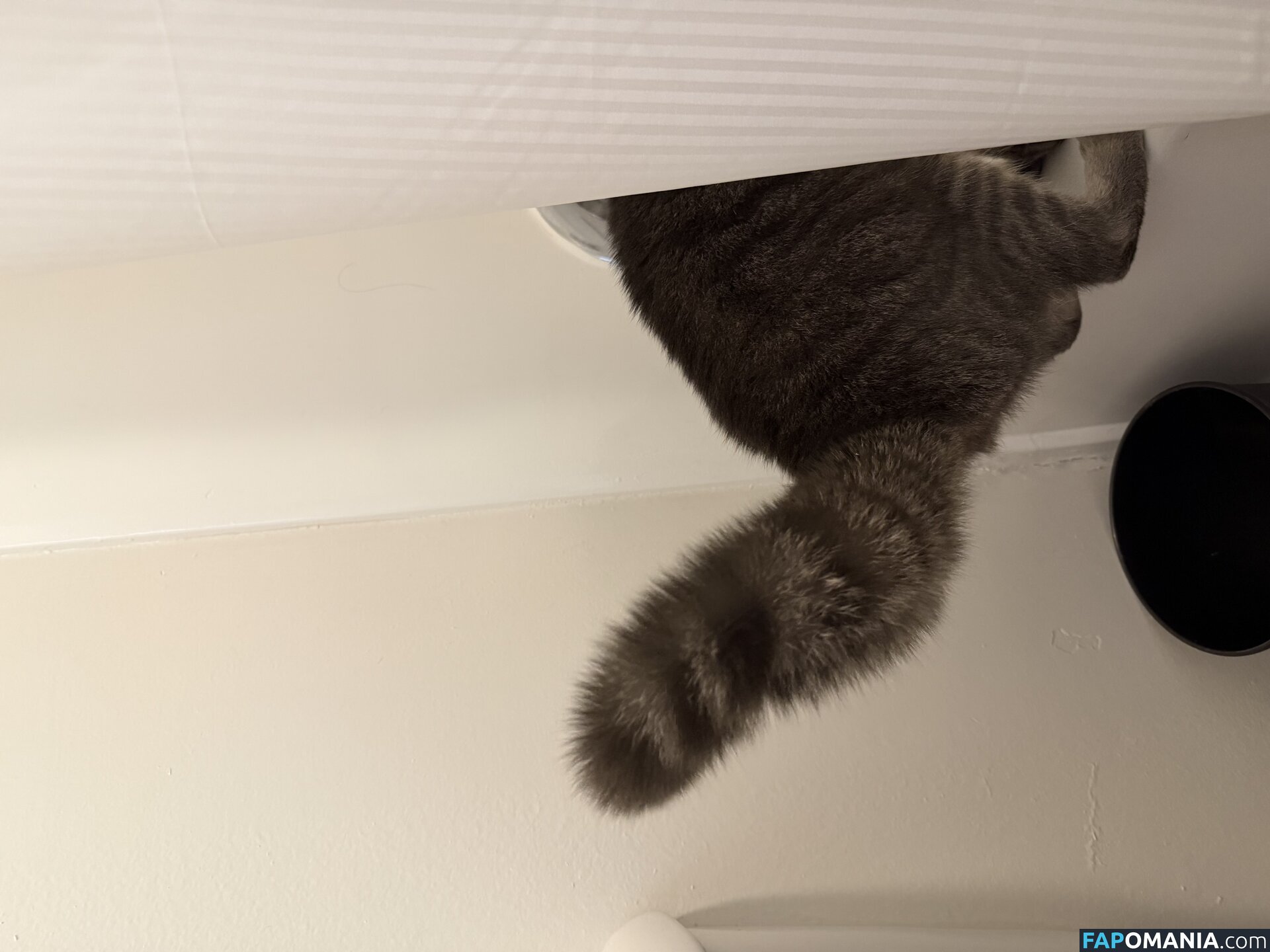 dahniks / dahnikz Nudo OnlyFans  Foto trapelata #15