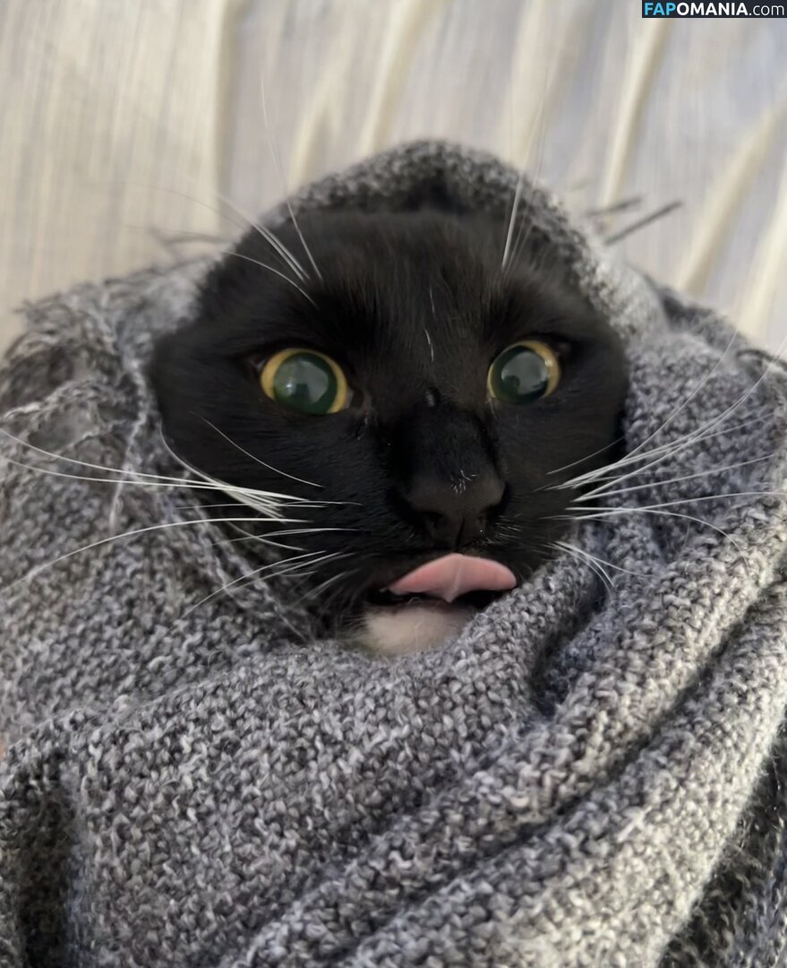 dahniks / dahnikz Nudo OnlyFans  Foto trapelata #19