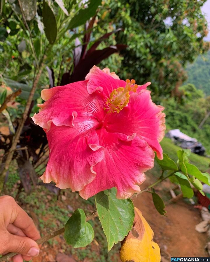 Erin Ashford / erinashford / erincaity Nudo OnlyFans  Foto trapelata #26