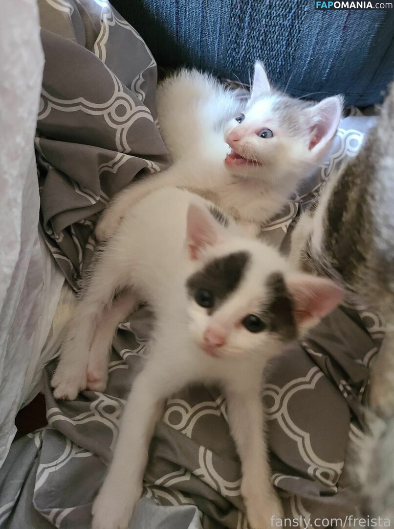 Freista / Tittykona / _mofreitas Nudo OnlyFans  Foto trapelata #16