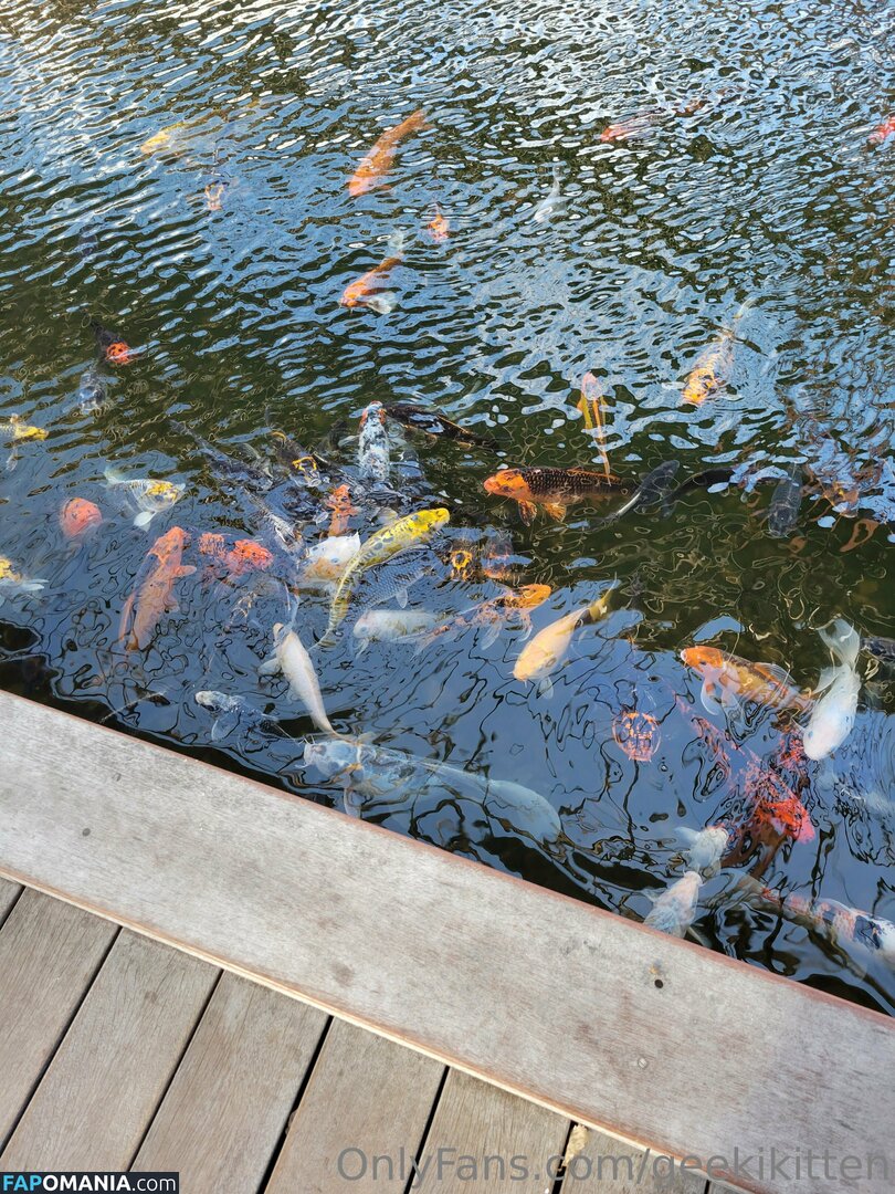 geekikitten / geekykittenxo Nudo OnlyFans  Foto trapelata #4