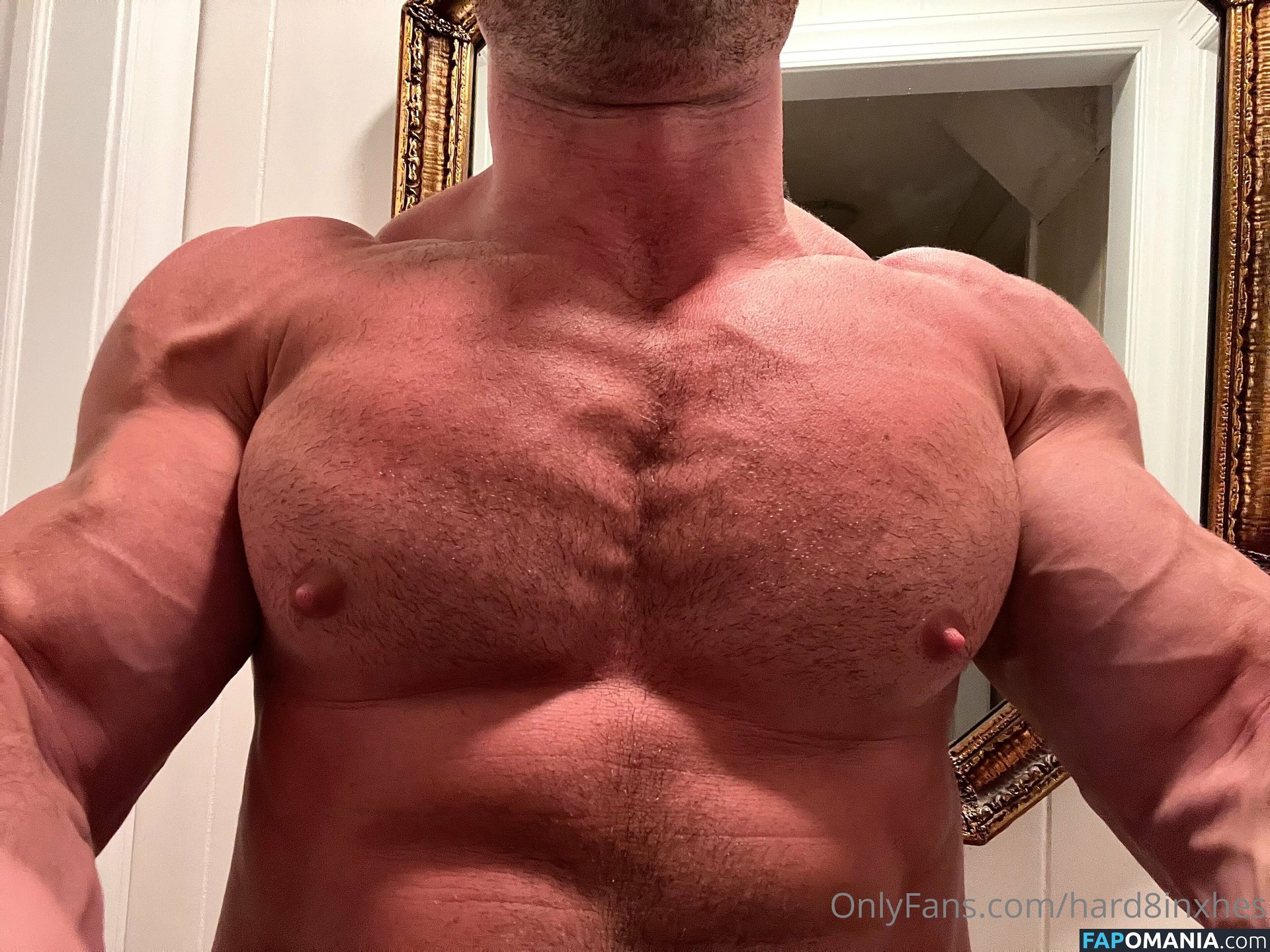 hard8inxhes Nudo OnlyFans  Foto trapelata #4