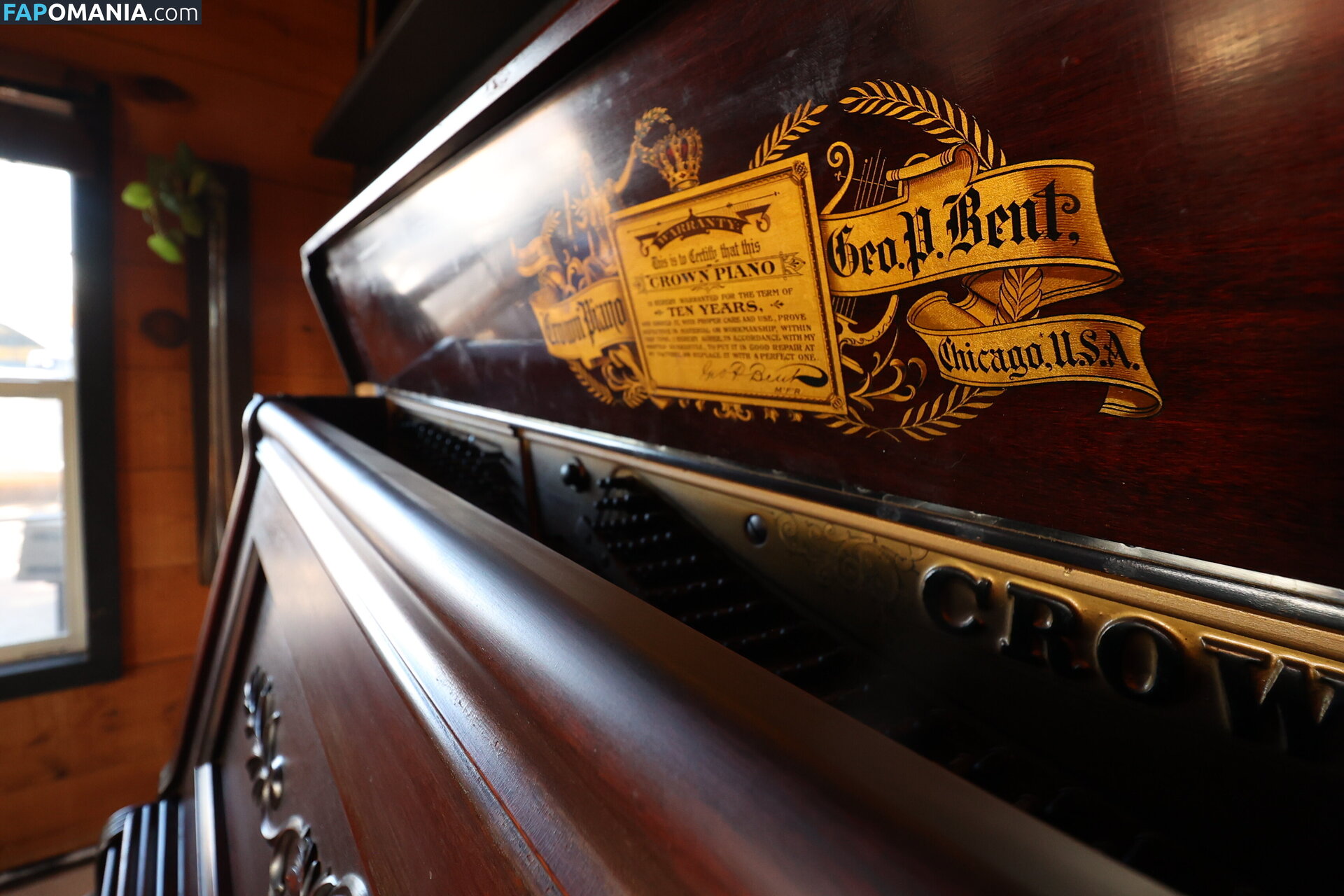 harlemhookup Nudo OnlyFans  Foto trapelata #20