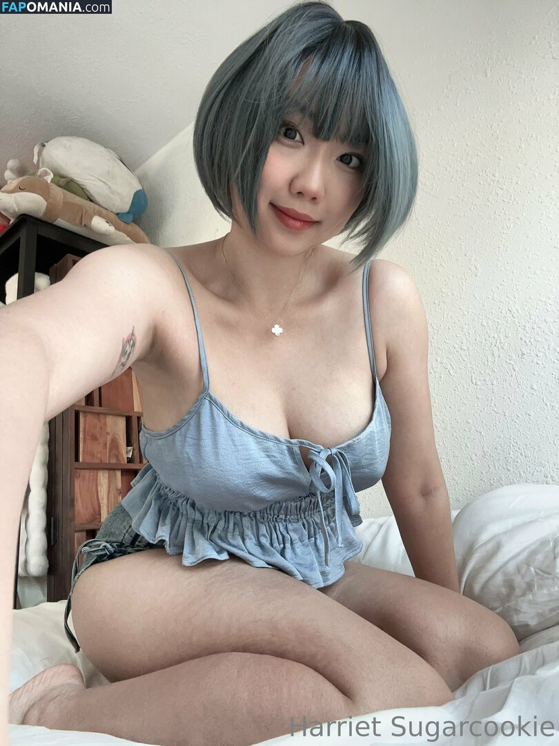 HSugarCookie / Harriet Sugarcookie / harrietsugarcookie / iamharrietsugarcookie Nudo OnlyFans  Foto trapelata #85