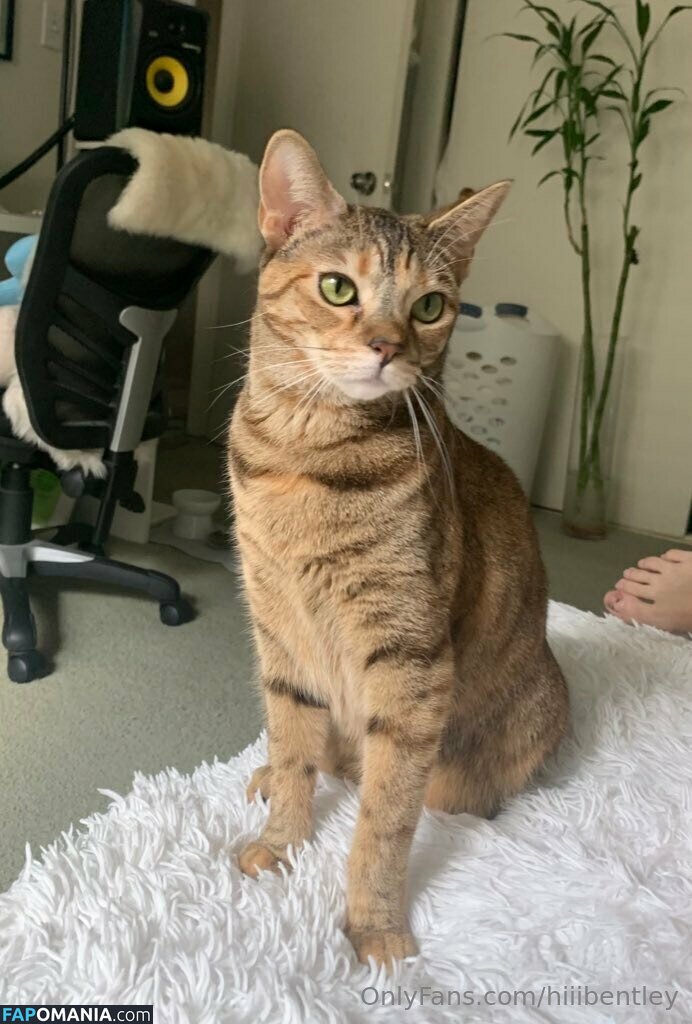 hiiibentley Nudo OnlyFans  Foto trapelata #5