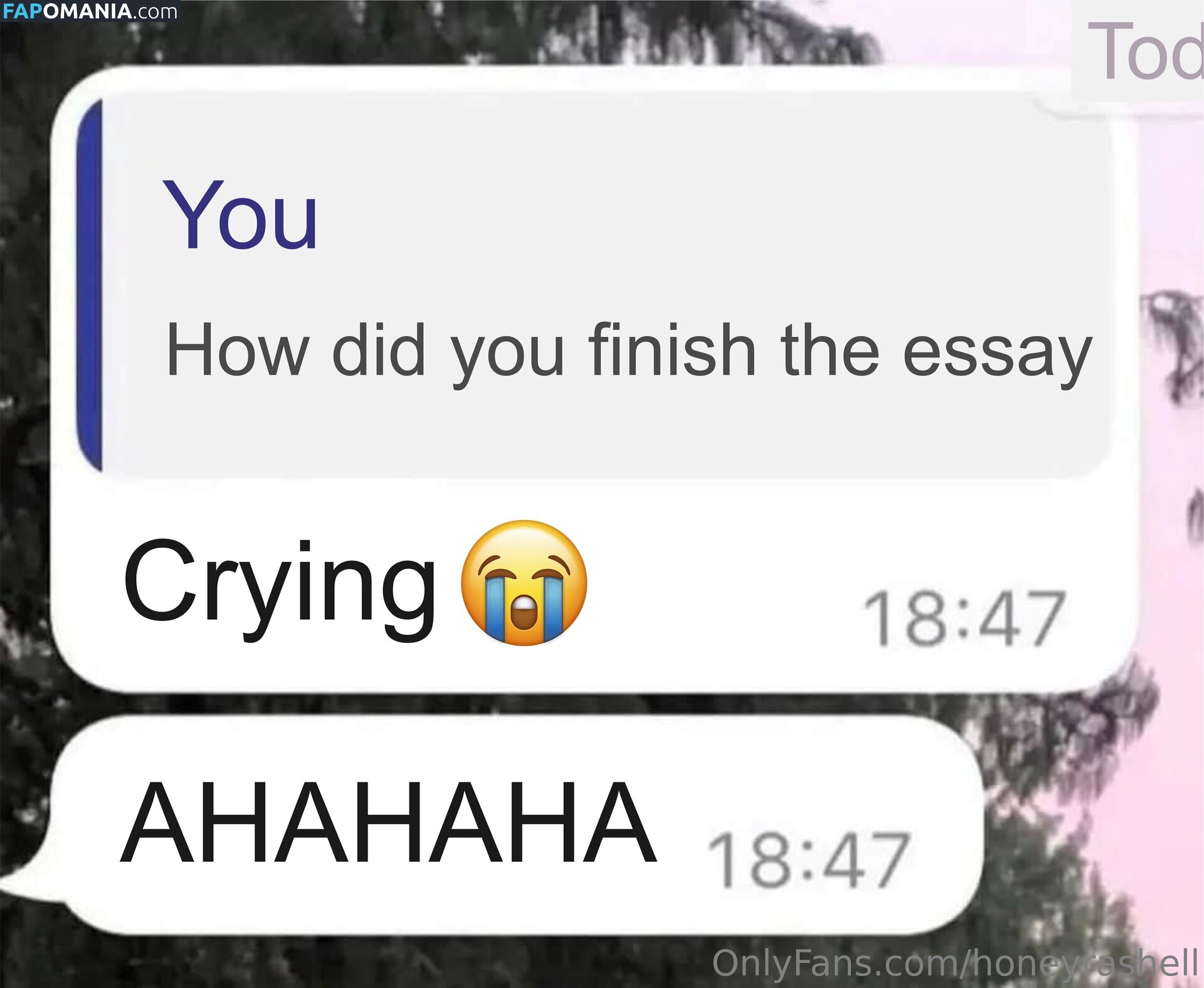 honeyrashell / honeyrashelll Nudo OnlyFans  Foto trapelata #12