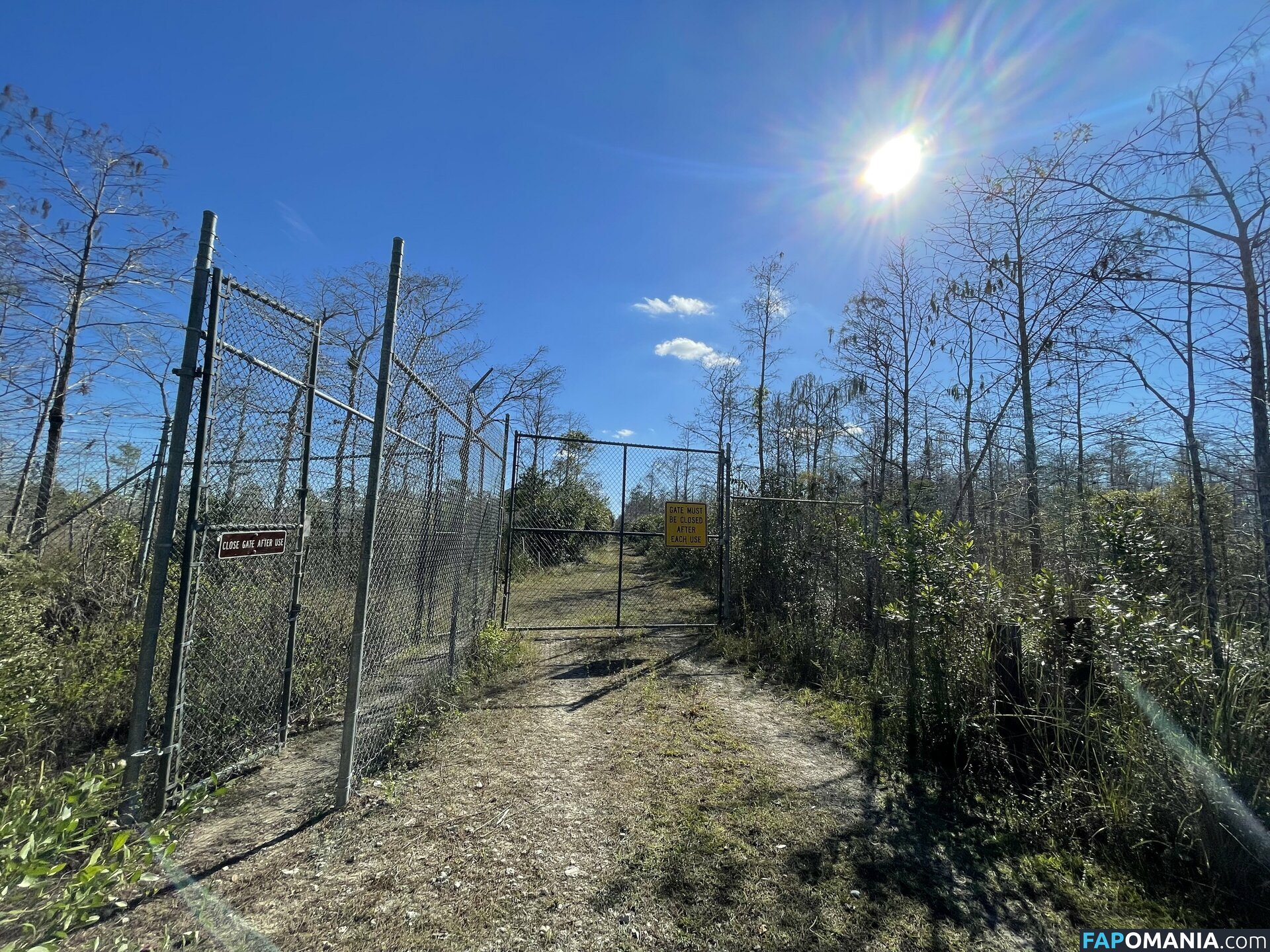 debiiworks / iambigduch Nudo OnlyFans  Foto trapelata #59