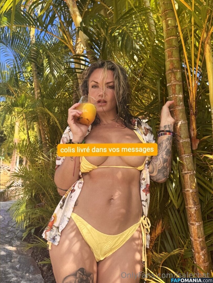 Isabelle Desjardins / isalechat Nudo OnlyFans  Foto trapelata #12