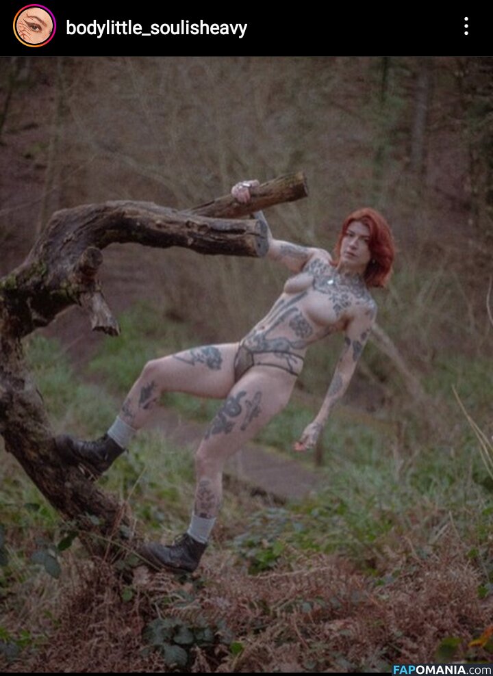 IvyElf / bodylittle_soulisheavy / bodylittlesoulisheavy Nudo OnlyFans  Foto trapelata #42