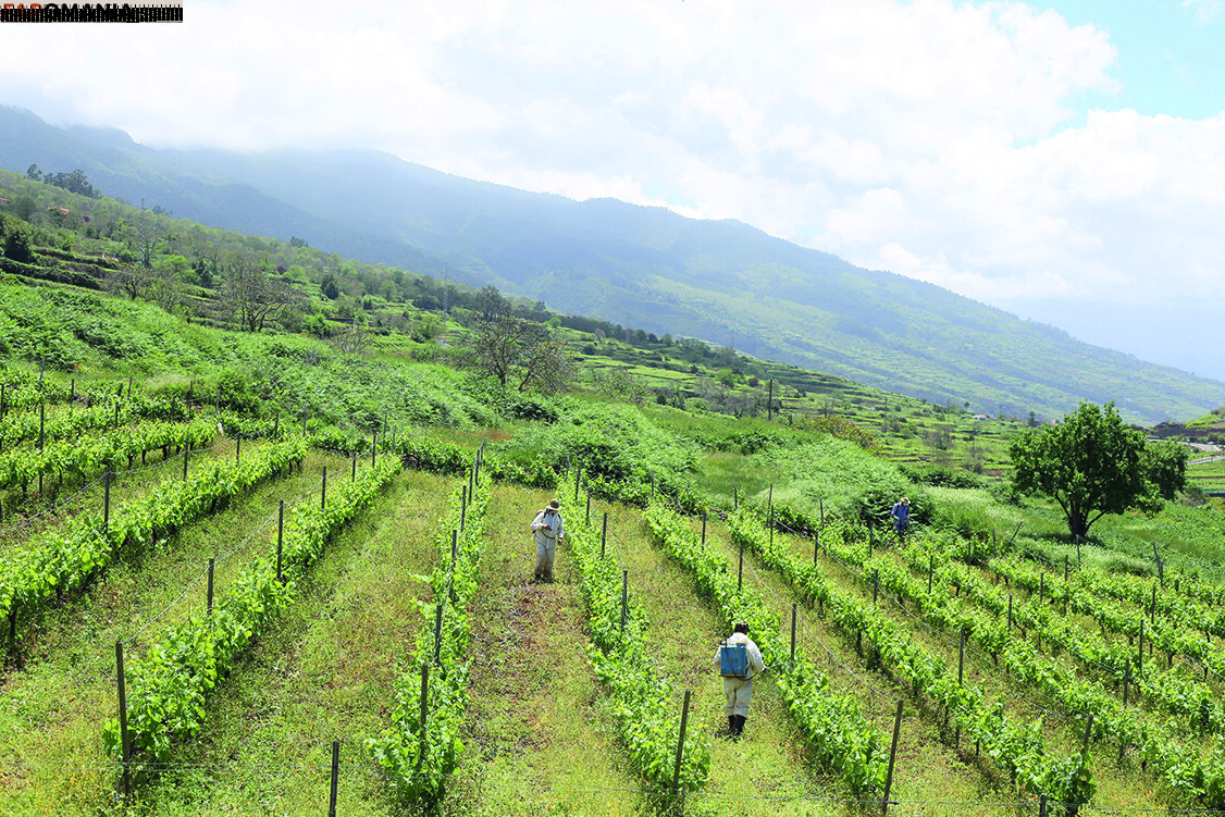 julia_lyn Nudo OnlyFans  Foto trapelata #10