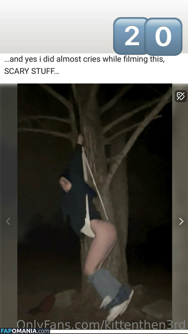 kittenthen3rd Nudo OnlyFans  Foto trapelata #12