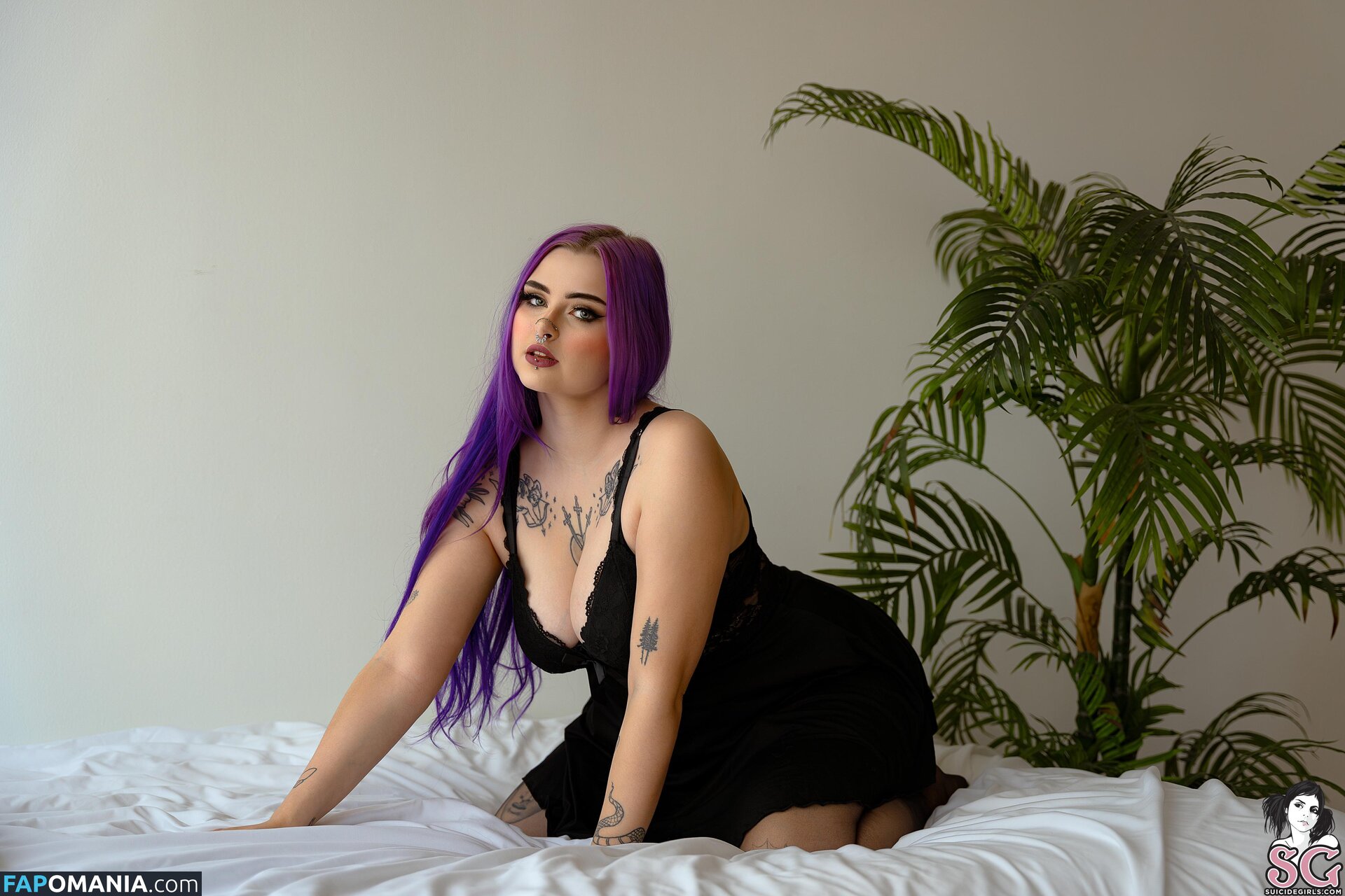 Lilacfables Nudo OnlyFans  Foto trapelata #1