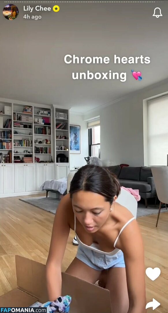 Lily Chee / lilychee Nudo OnlyFans  Foto trapelata #468