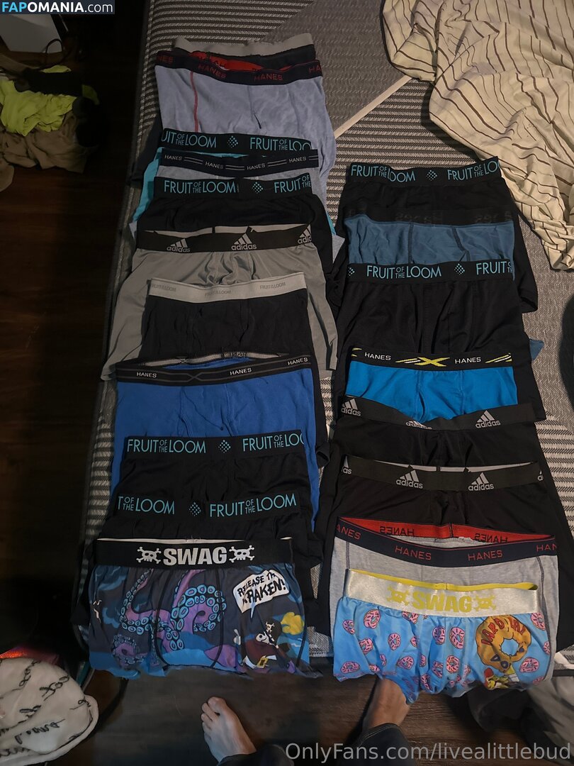 livealittlebud Nudo OnlyFans  Foto trapelata #1