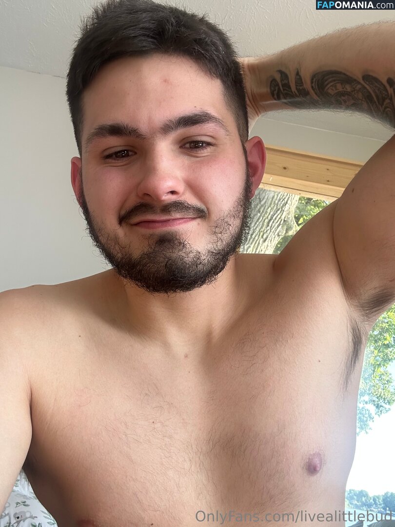 livealittlebud Nudo OnlyFans  Foto trapelata #2