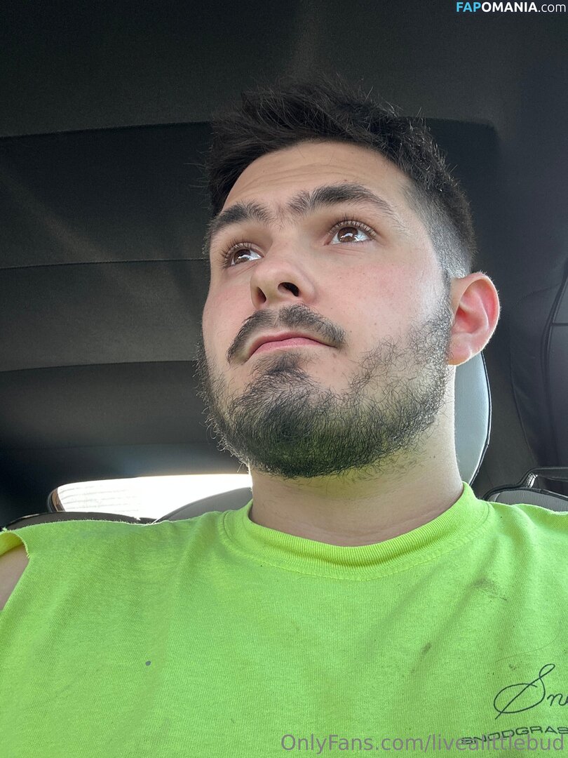 livealittlebud Nudo OnlyFans  Foto trapelata #5