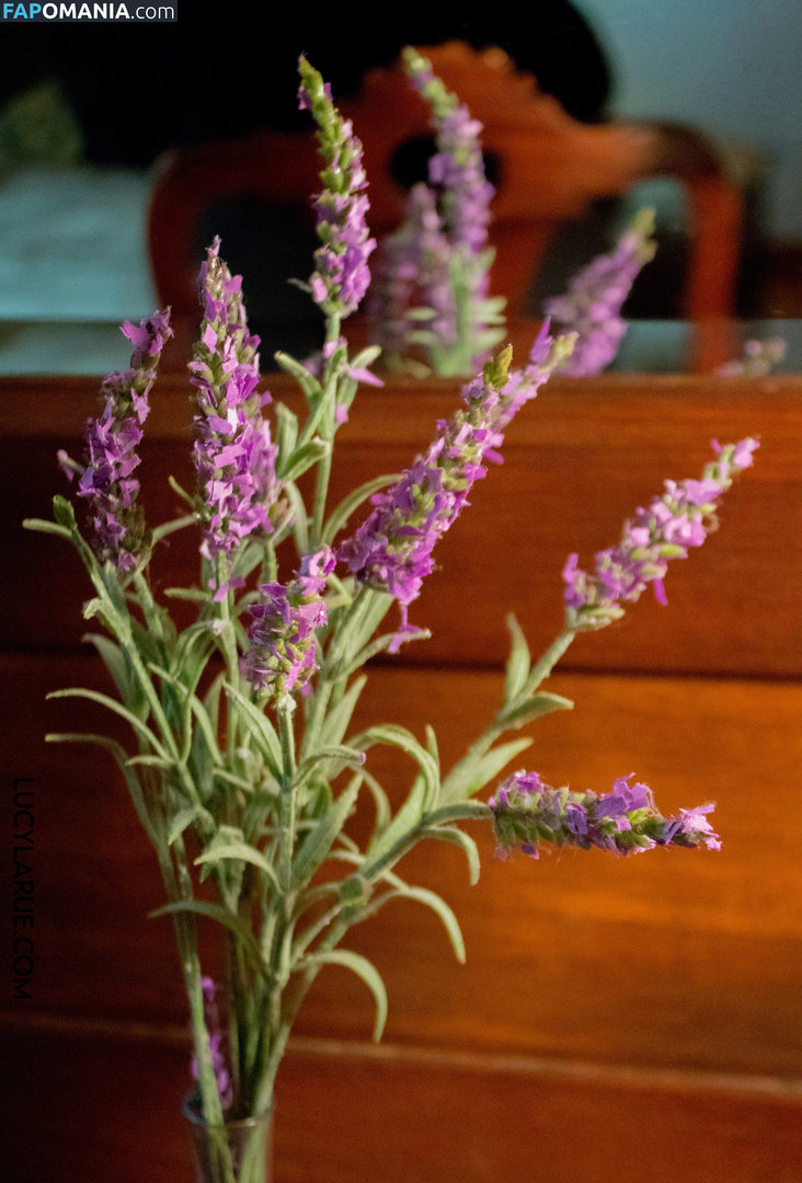 lucylarue / lucylaruesdailystyle Nudo OnlyFans  Foto trapelata #37