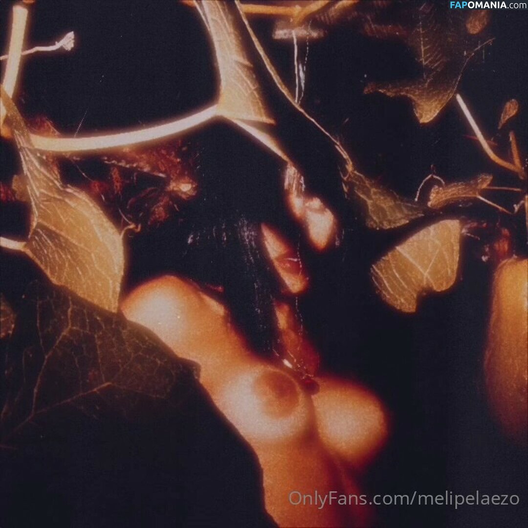 Meli Pelaez / melipelaezo Nudo OnlyFans  Foto trapelata #9