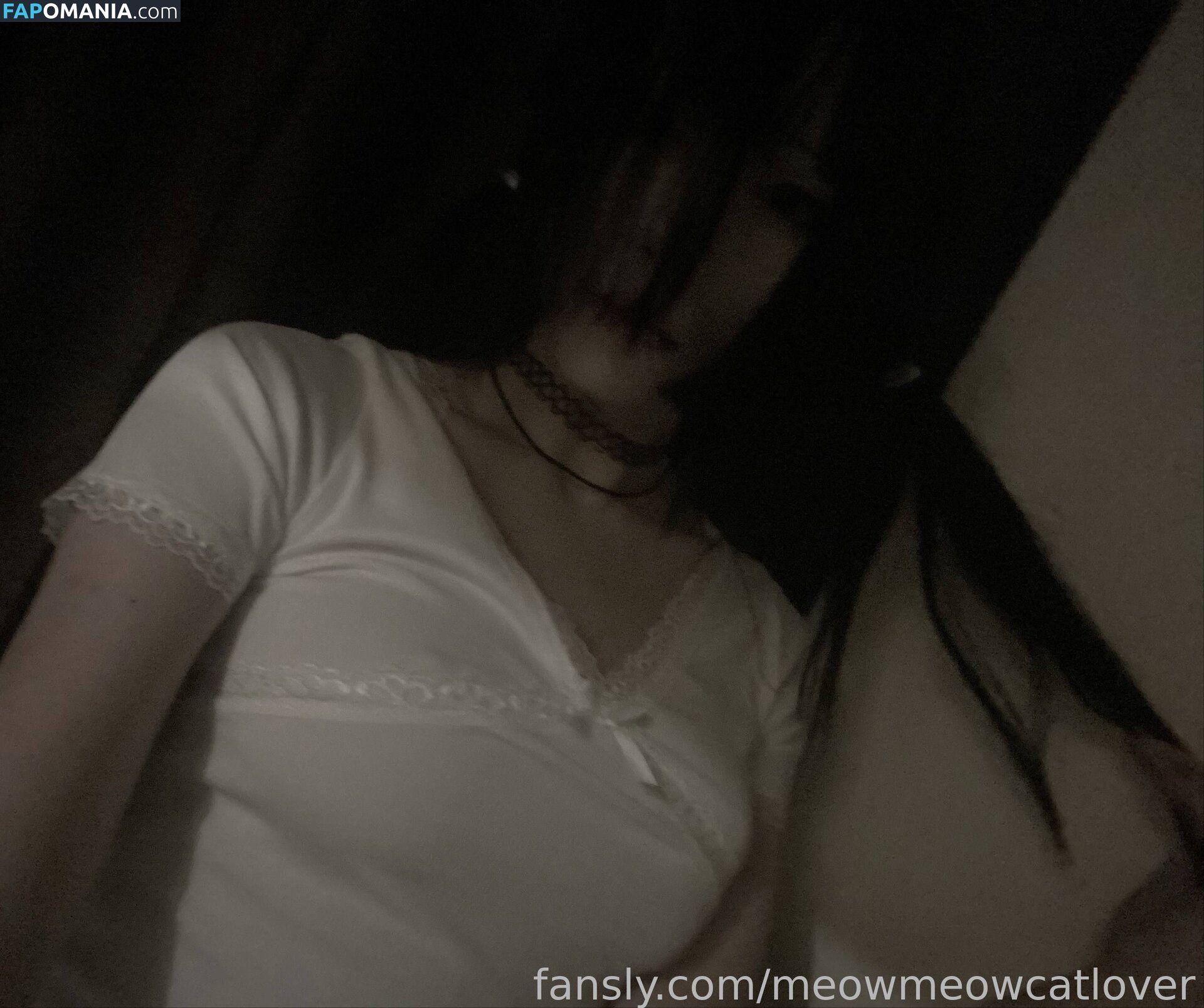 meow.meow.cat.lovers / meowmeowcatlover Nudo OnlyFans  Foto trapelata #5