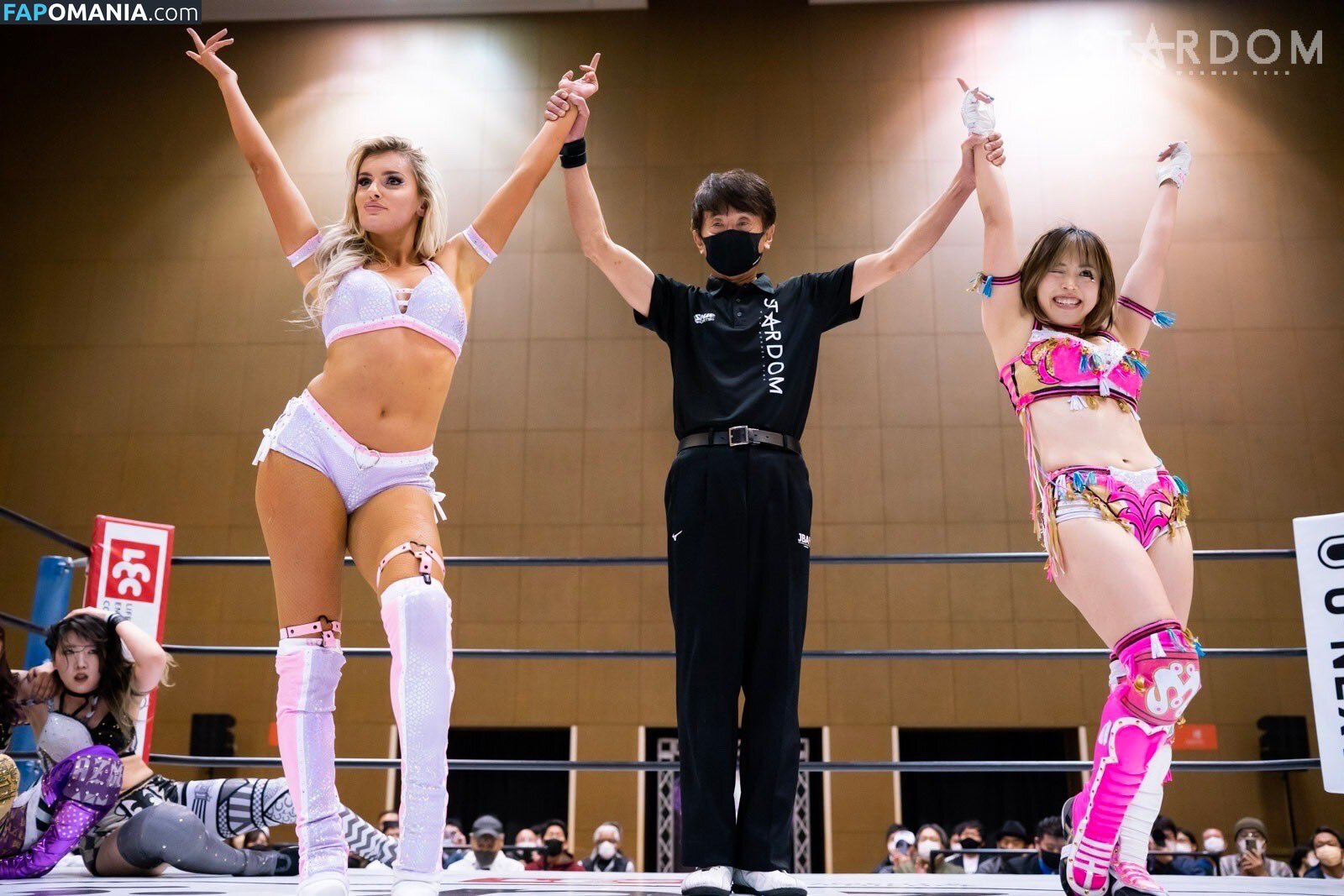 Mina Shirakawa / mina_shirakawa Nudo OnlyFans  Foto trapelata #1122