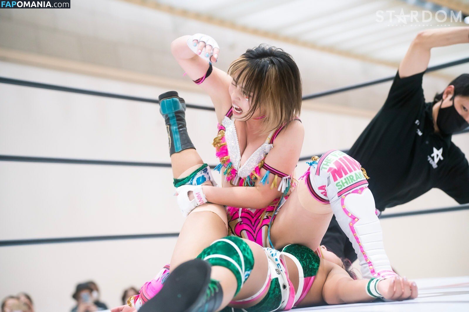 Mina Shirakawa / mina_shirakawa Nudo OnlyFans  Foto trapelata #1123