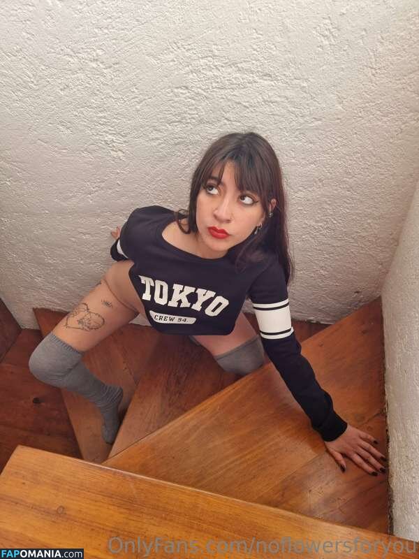 NoFlowers4You / NoFlowersForYou / NoFlowersForYou... / NoFlowersForYou_ / assets / https: / noflowersforu Nudo OnlyFans  Foto trapelata #11