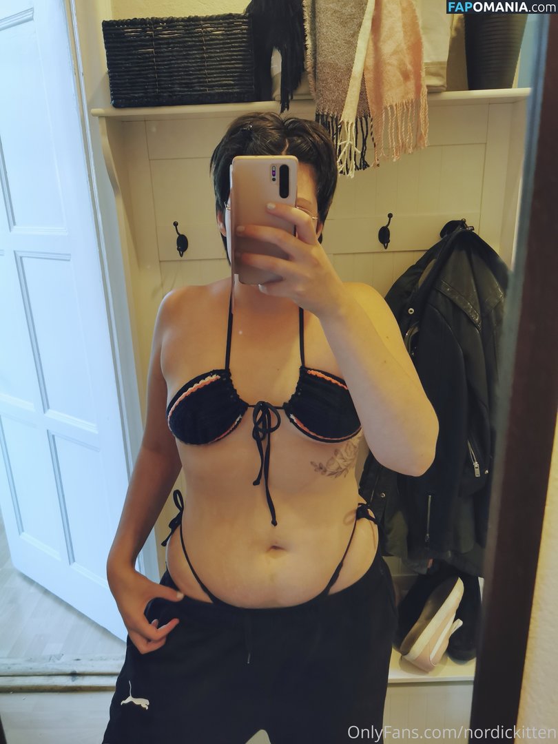 nordickitten Nudo OnlyFans  Foto trapelata #25