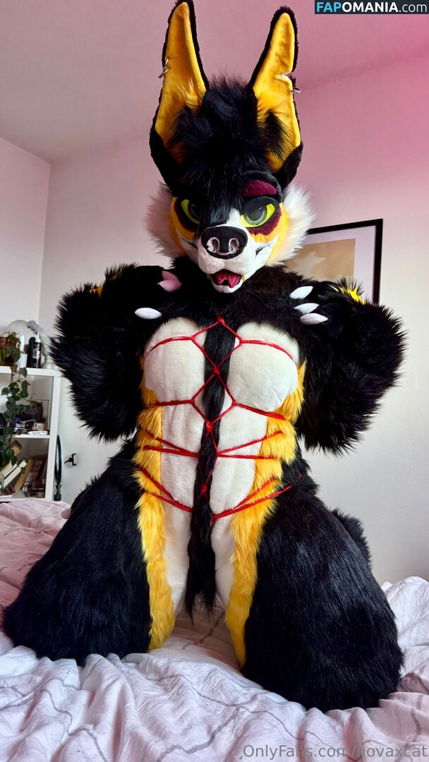 novaxcat / novaxxcat Nudo OnlyFans  Foto trapelata #1