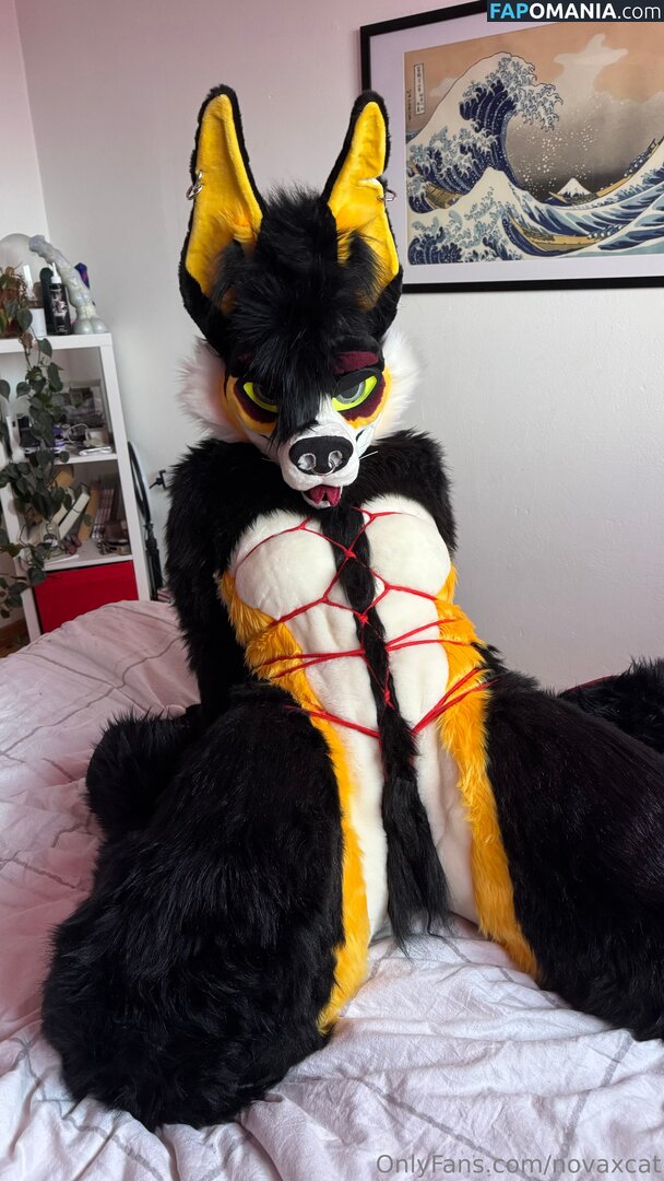 novaxcat / novaxxcat Nudo OnlyFans  Foto trapelata #2
