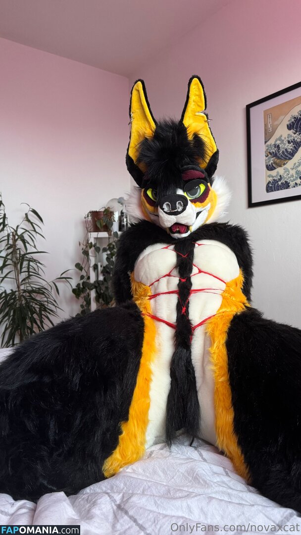 novaxcat / novaxxcat Nudo OnlyFans  Foto trapelata #3