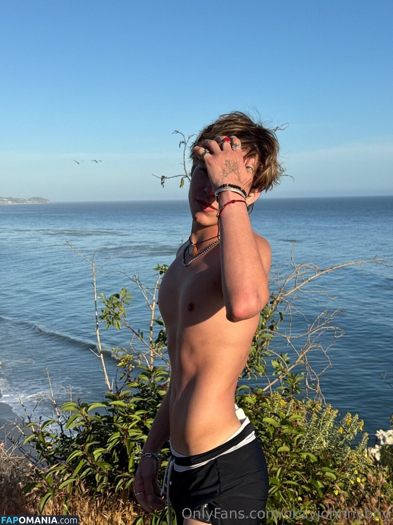 okayjohnnyboy / okjohnnyboy Nudo OnlyFans  Foto trapelata #33