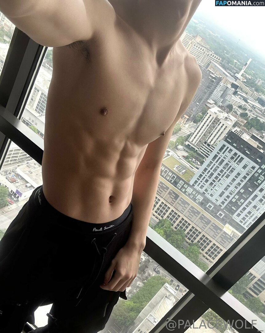 palacewolf / palacewolfent Nudo OnlyFans  Foto trapelata #4