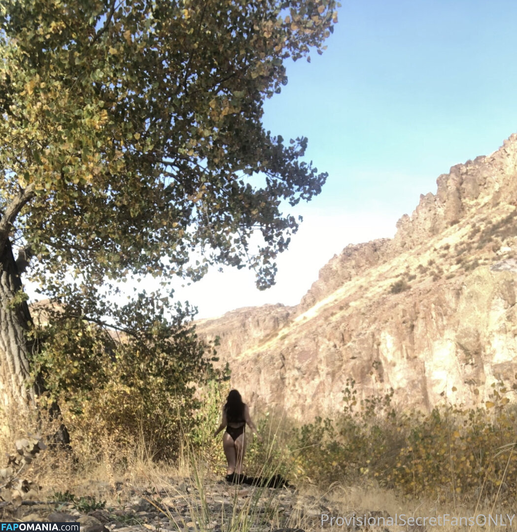 playfulsecret / provisionalsecret Nudo OnlyFans  Foto trapelata #1