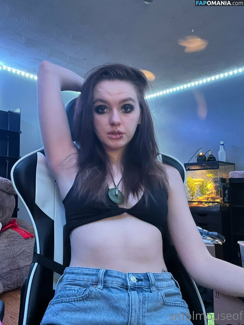 smolmouse8 / smolmouseof Nudo OnlyFans  Foto trapelata #46