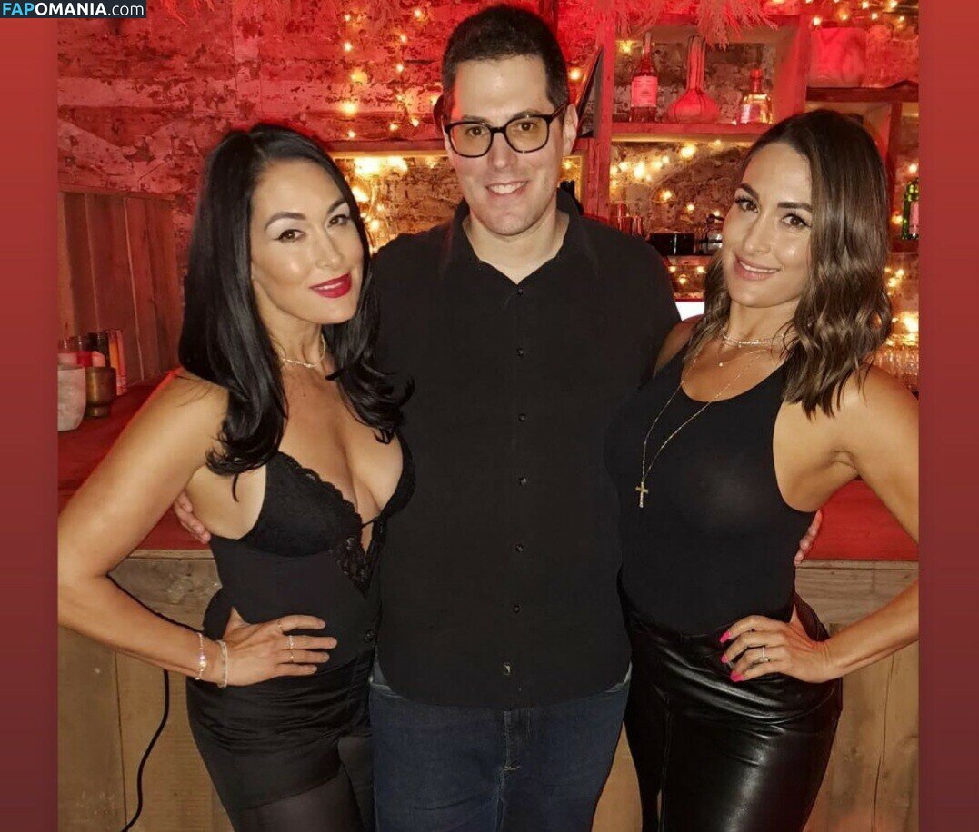 Nikki Bella & Brie Bella / The Bella Twins / thenikkibella Nudo OnlyFans  Foto trapelata #202