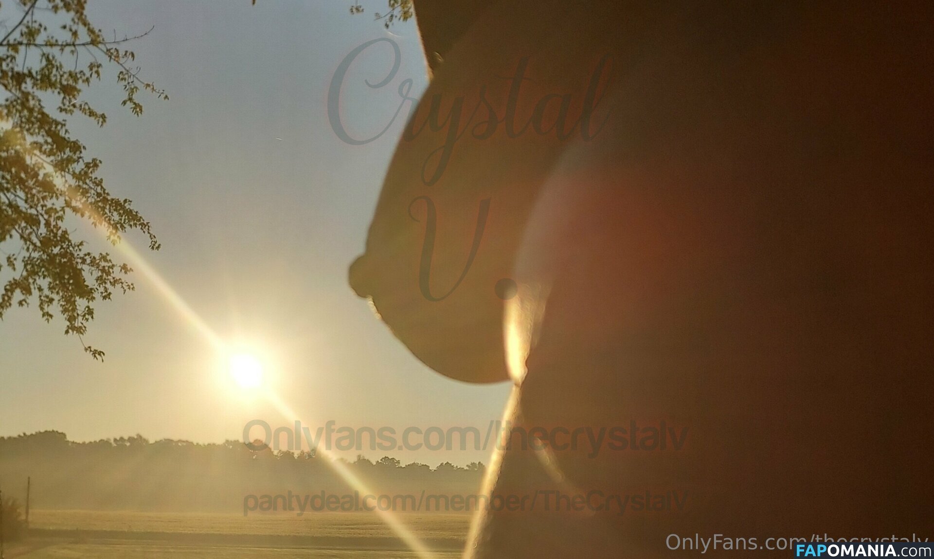 crystallv / thecrystalv Nudo OnlyFans  Foto trapelata #11