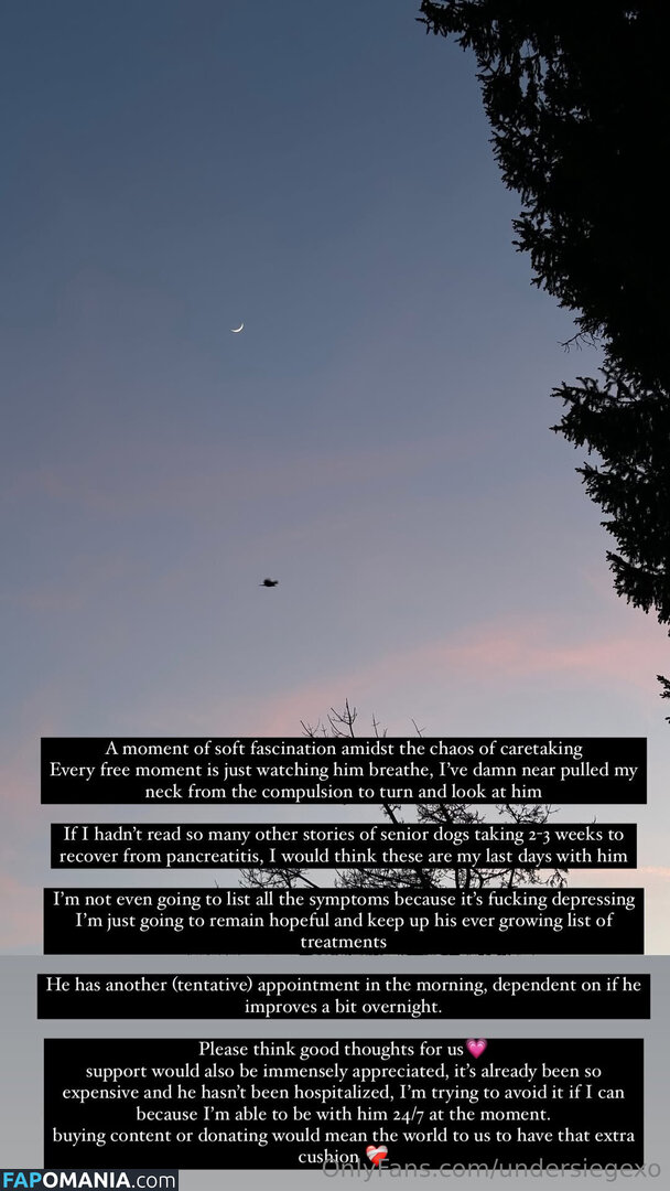 undersiegexo Nudo OnlyFans  Foto trapelata #1