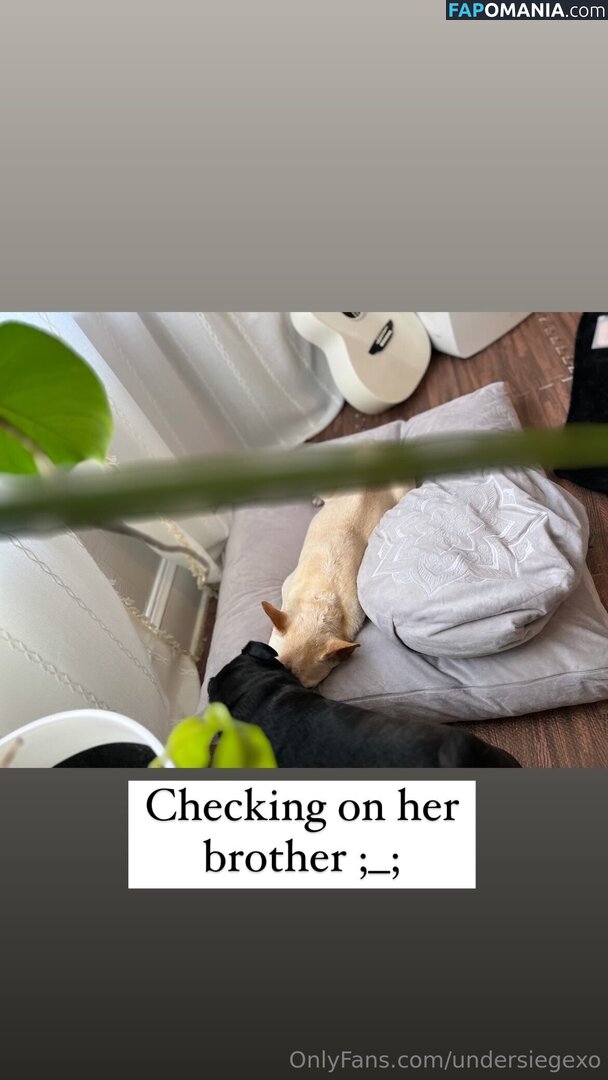 undersiegexo Nudo OnlyFans  Foto trapelata #3